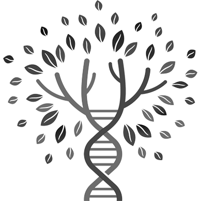 Genetic Genealogy