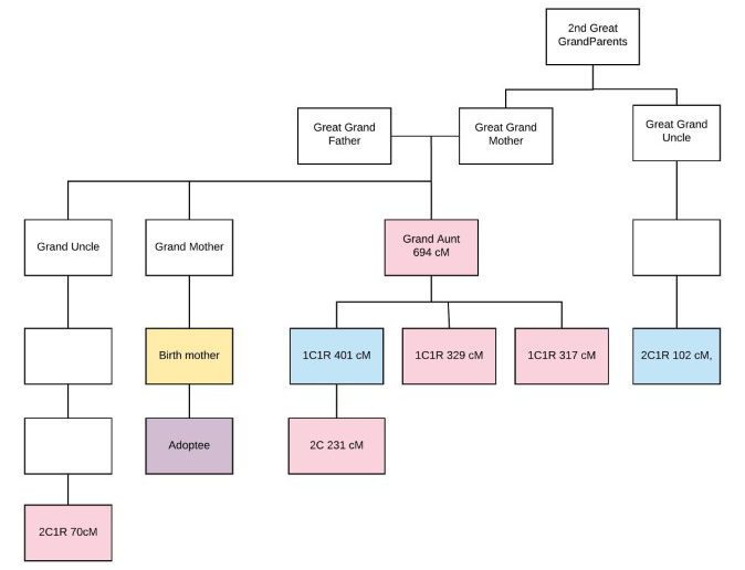 Locating a birth mother using DNA matches